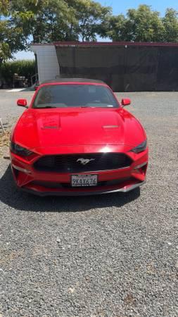 2019 Ford Mustang EcoBoost Convertible for sale by owner