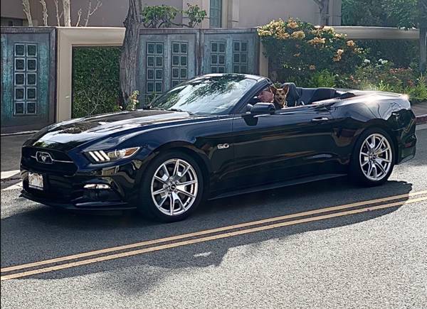 2015 Mustang GT Premium 50th Anniversary Edition for sale by owner