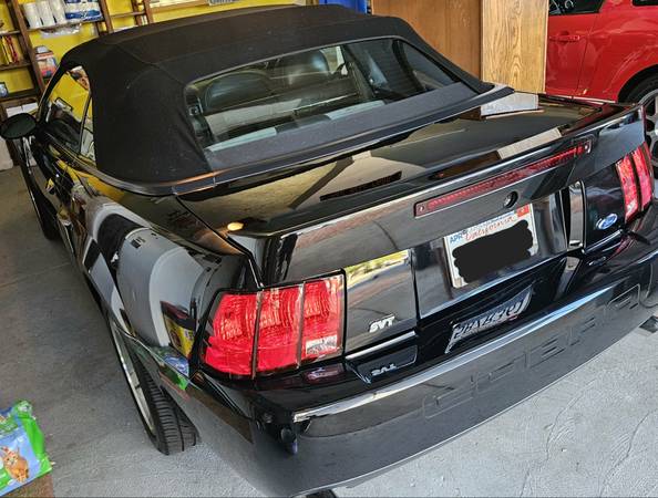 2003 Mustang Cobra SVT Terminator Convertible, 25k original miles! for sale by owner