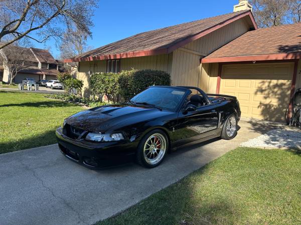 2003 Ford Mustang Cobra SVT 10th Anniversary for sale by owner